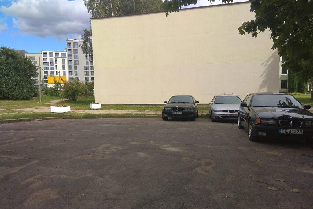 Slucko Central Studio Apartment Near River Wilna Exterior foto