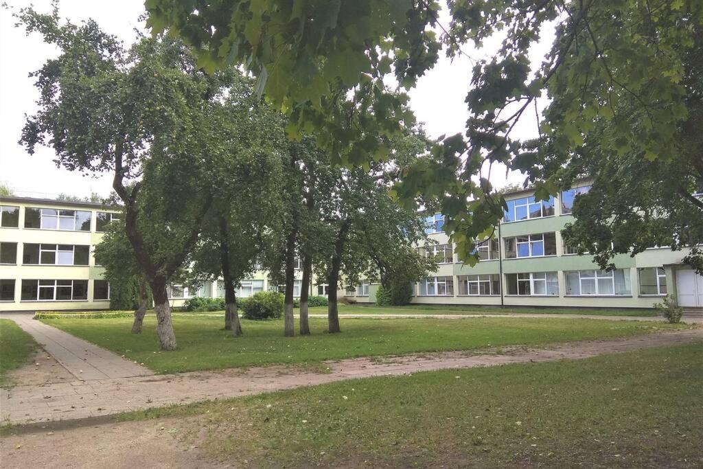 Slucko Central Studio Apartment Near River Wilna Exterior foto