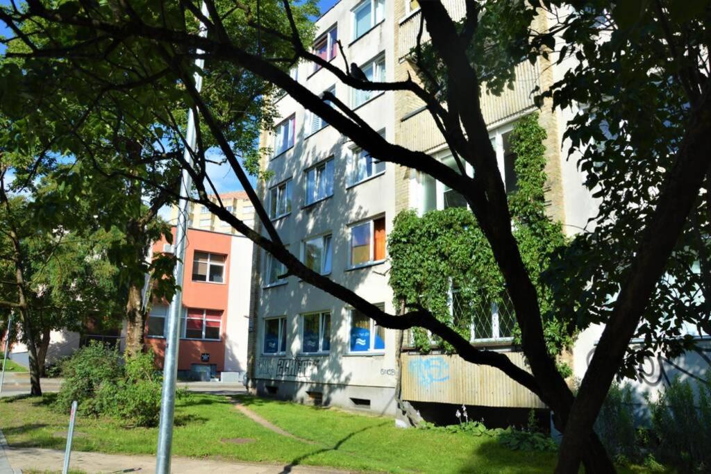 Slucko Central Studio Apartment Near River Wilna Exterior foto