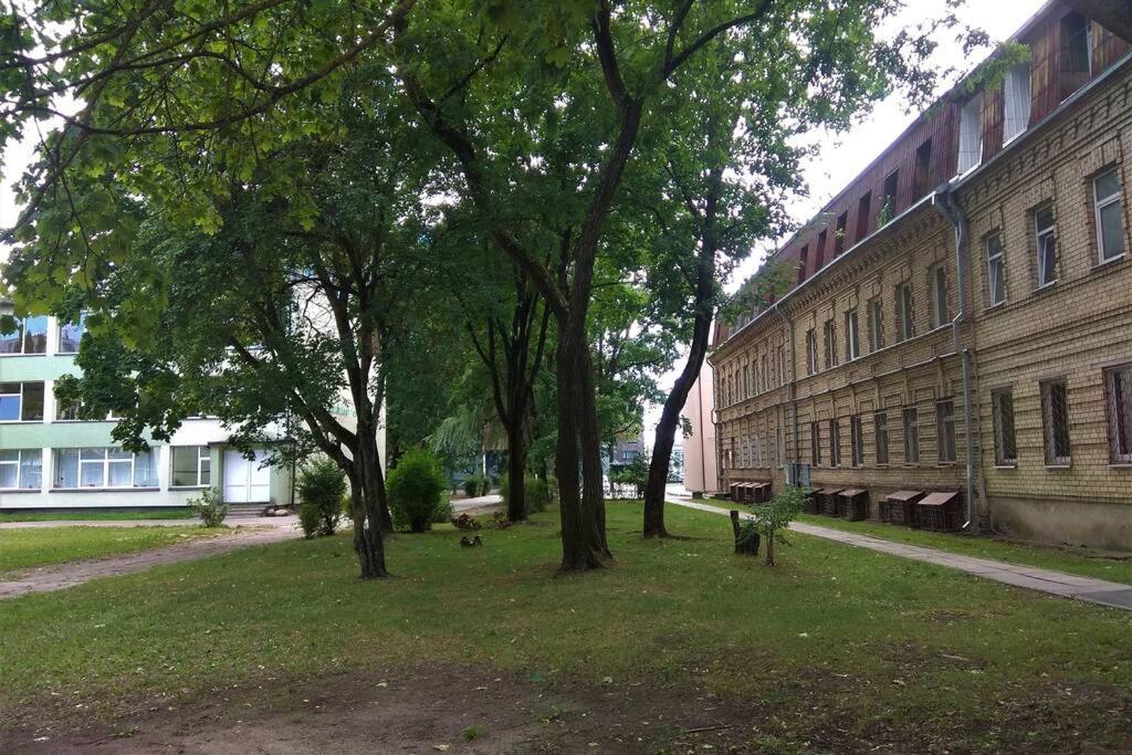 Slucko Central Studio Apartment Near River Wilna Exterior foto